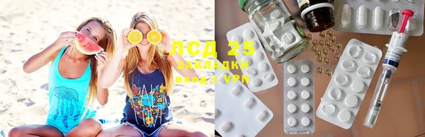 PSILOCYBIN Белокуриха