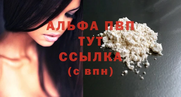 spice Богородицк