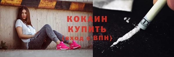 spice Богородицк