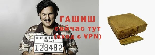 spice Богородицк
