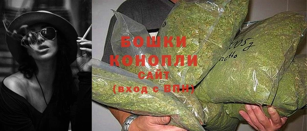 PSILOCYBIN Белокуриха