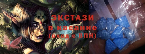 spice Богородицк