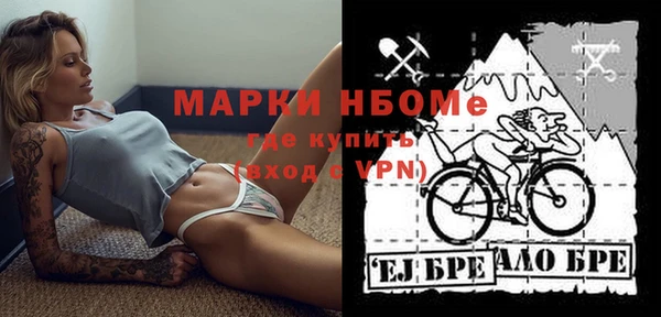 spice Богородицк