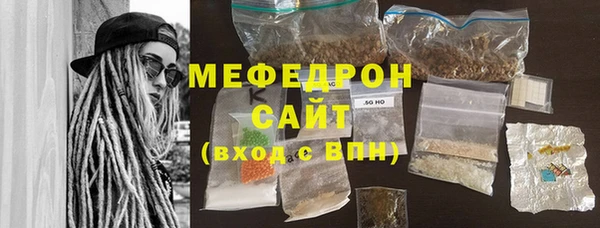 spice Богородицк