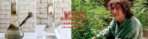 spice Богородицк