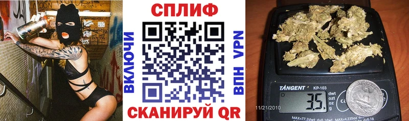 MEGA сайт  купить закладку  Болхов  Конопля сатива 